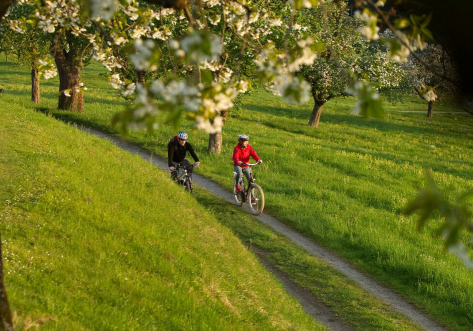 Frühlingswochen_am_Bodensee